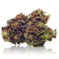 Sweet Berry 5% CBD -  0,18% THC  3.0 g